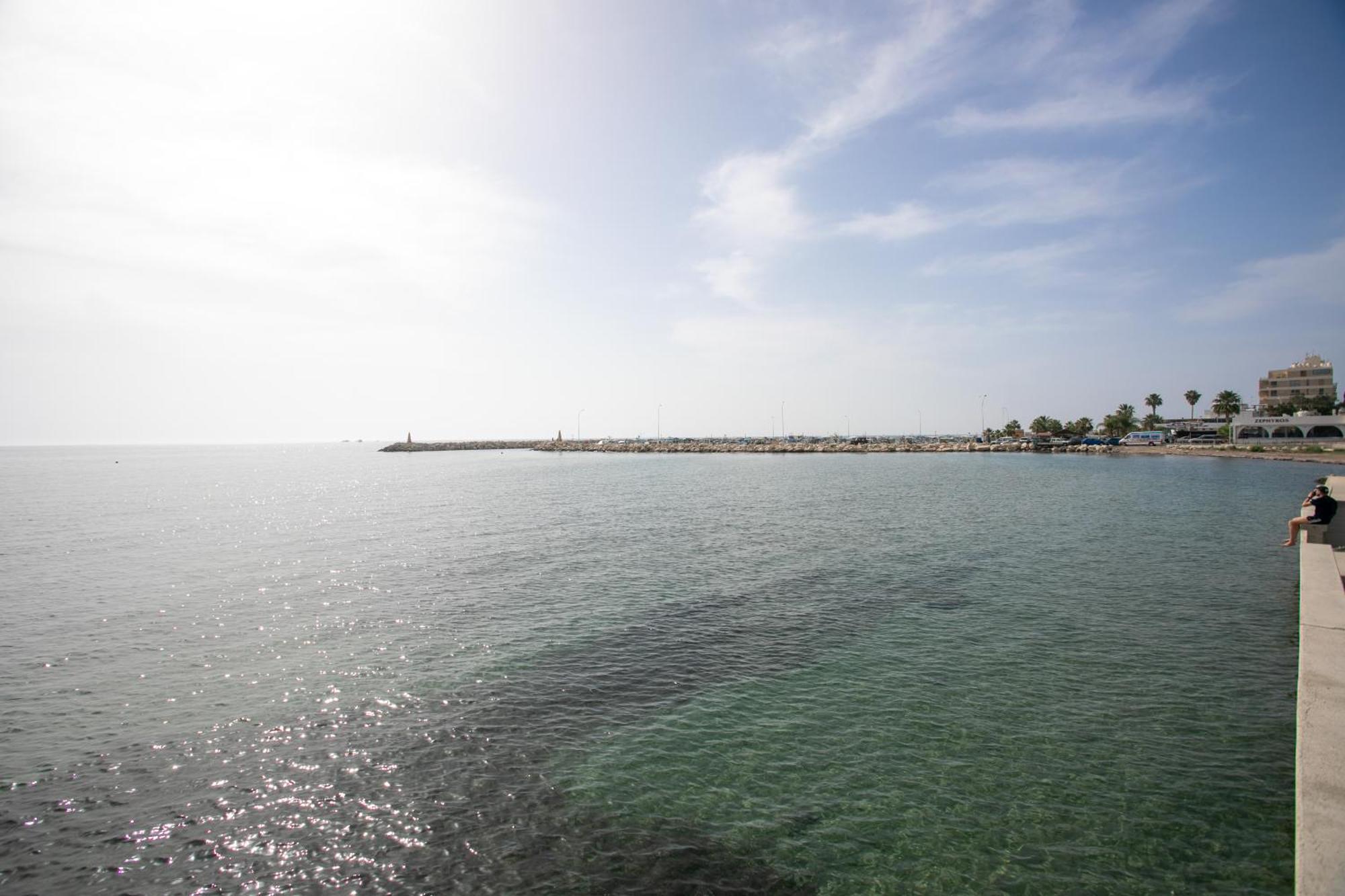 Palmove Luxurious Beachfront Apt لارنكا المظهر الخارجي الصورة